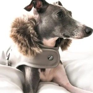 Meet your Posher, Russell